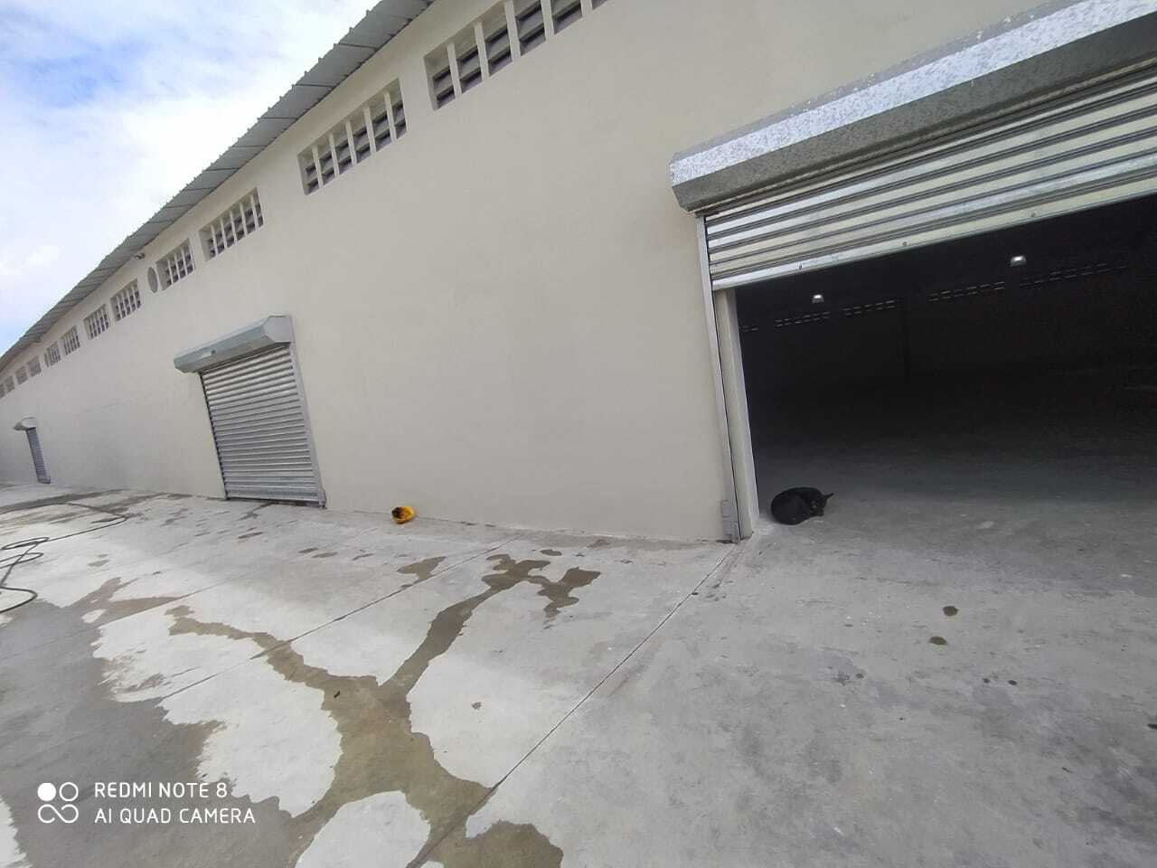 oficinas y locales comerciales - Rento nave industrial en santo domingo 7