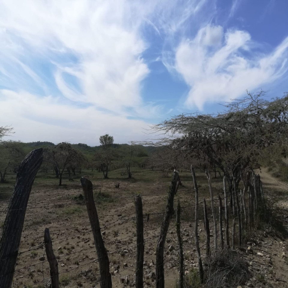 solares y terrenos - TERRENO EN MONTE CRISTI