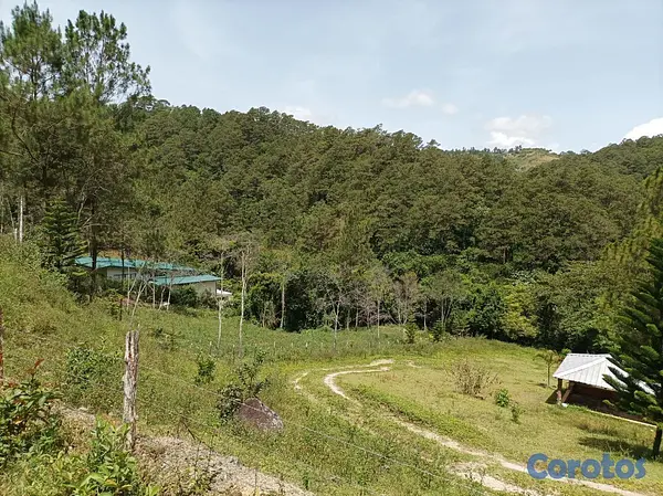 solares y terrenos - Terreno, ideal para construir cabañas o villas 4