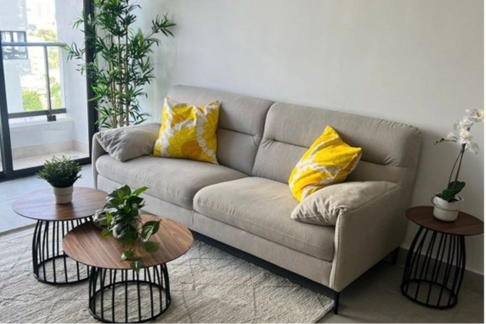 apartamentos - Apartamento en Alquiler Amueblado en La Esperilla 1