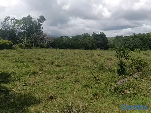 solares y terrenos - finca de 182 tareas en Monte Plata  3