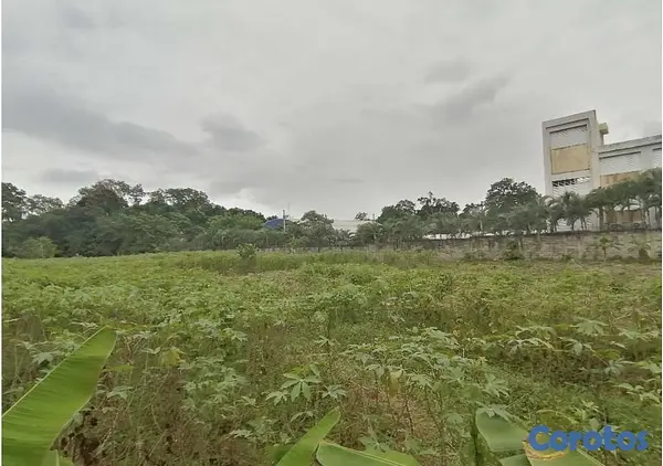 solares y terrenos - Terreno en Venta en Castillo, Salida a Nagua 8