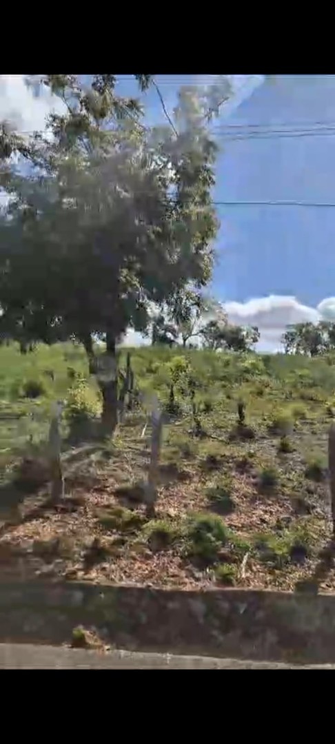 solares y terrenos - Se Vende Solar en Zona Turisticas, La Isabela  1
