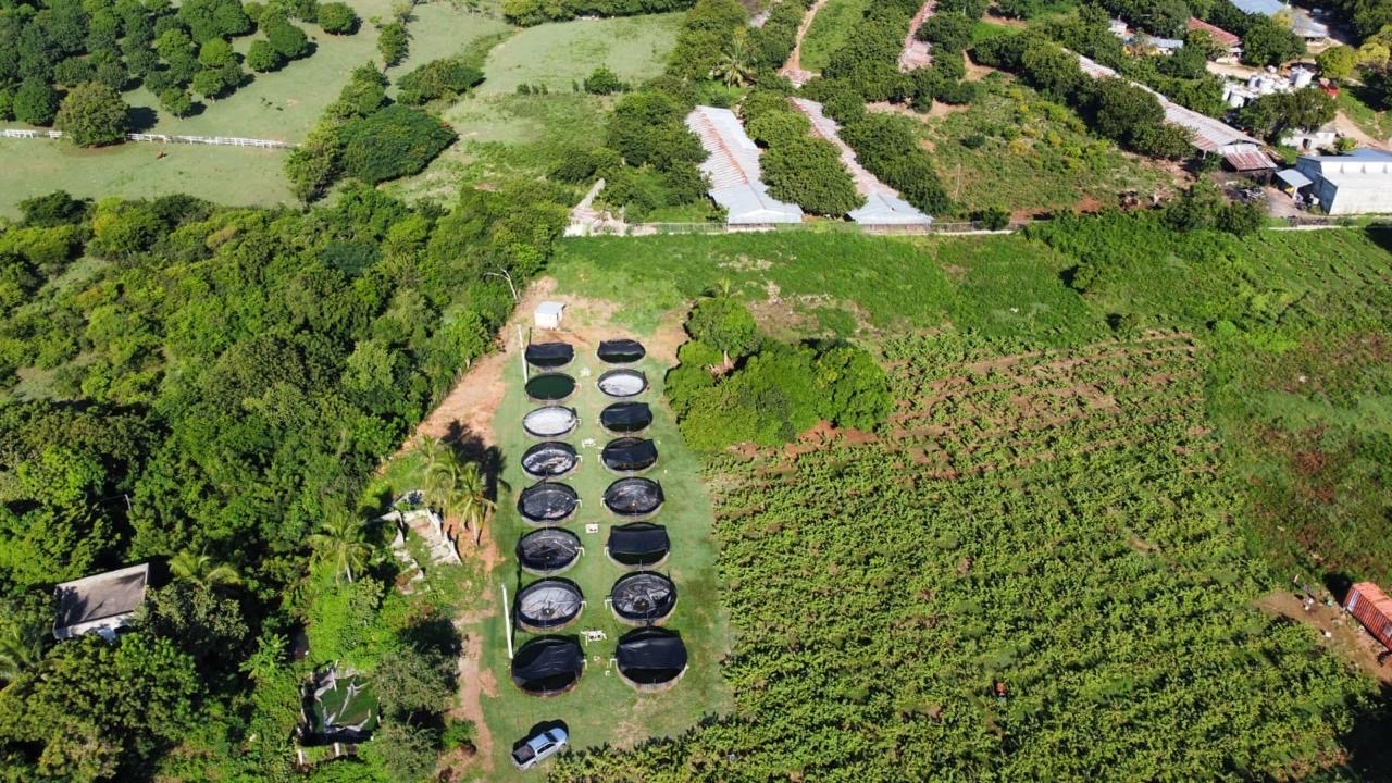 solares y terrenos - estanque de criaderos de peces  1
