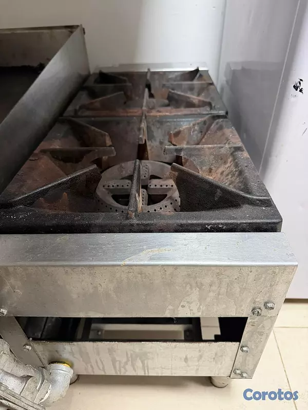 equipos profesionales - ESTUFA DE MESA 1