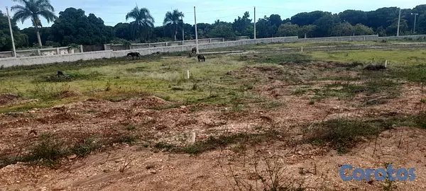 solares y terrenos - Vendo Terreno en San Cristóbal  10