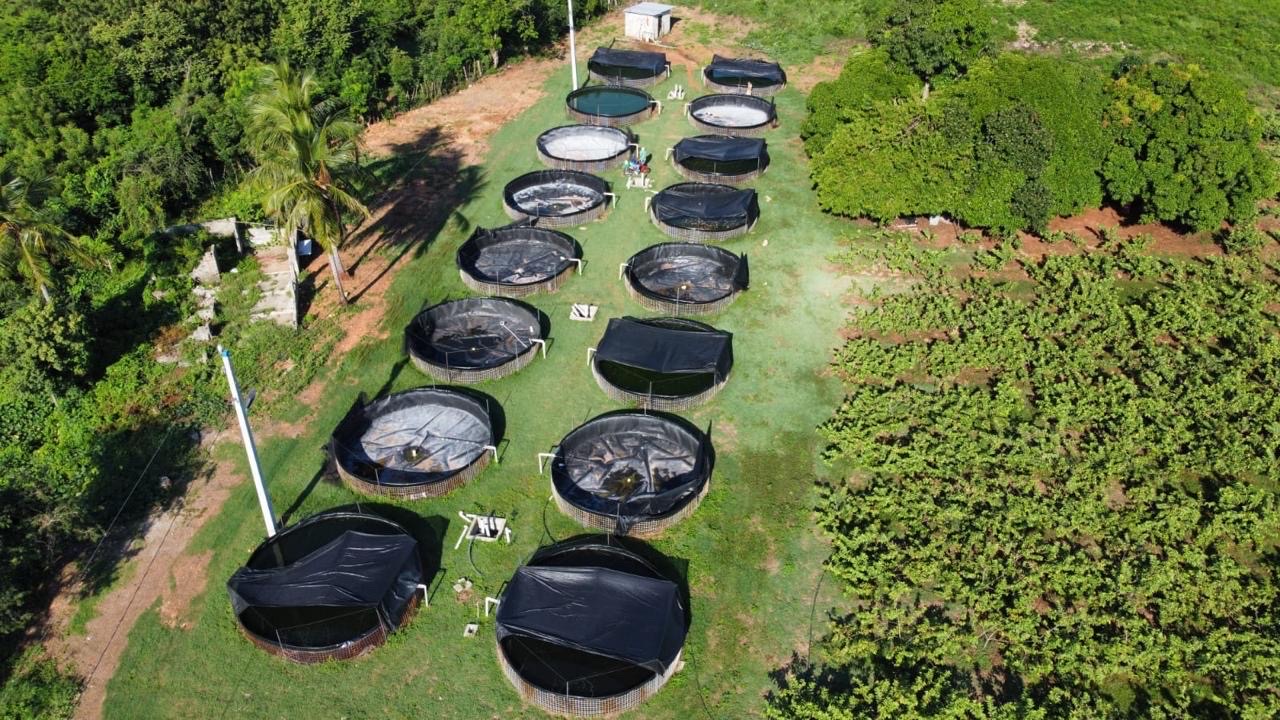 solares y terrenos - estanque de criaderos de peces  5