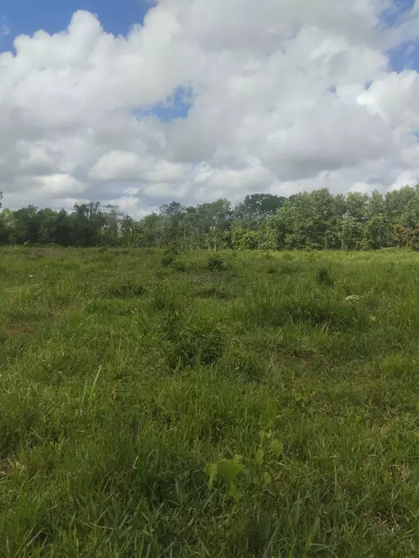 solares y terrenos - finca de 53 tareas en monte plata  2
