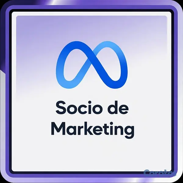 servicios profesionales - Agencia de marketing: Líder en search engine marke 9