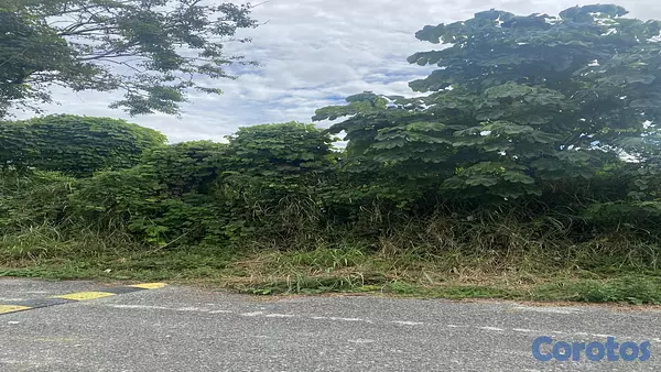 solares y terrenos - VENTA TERRENO EN CUESTA HERMOSA III 2