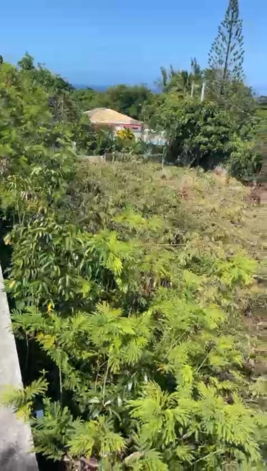 solares y terrenos - Terreno de Venta en Cofresi, Puerto Plata  2