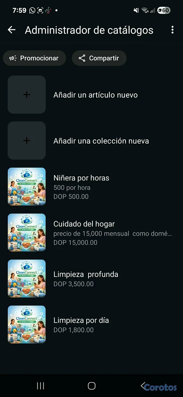 servicios profesionales - Agencia de domésticas en san juan  2