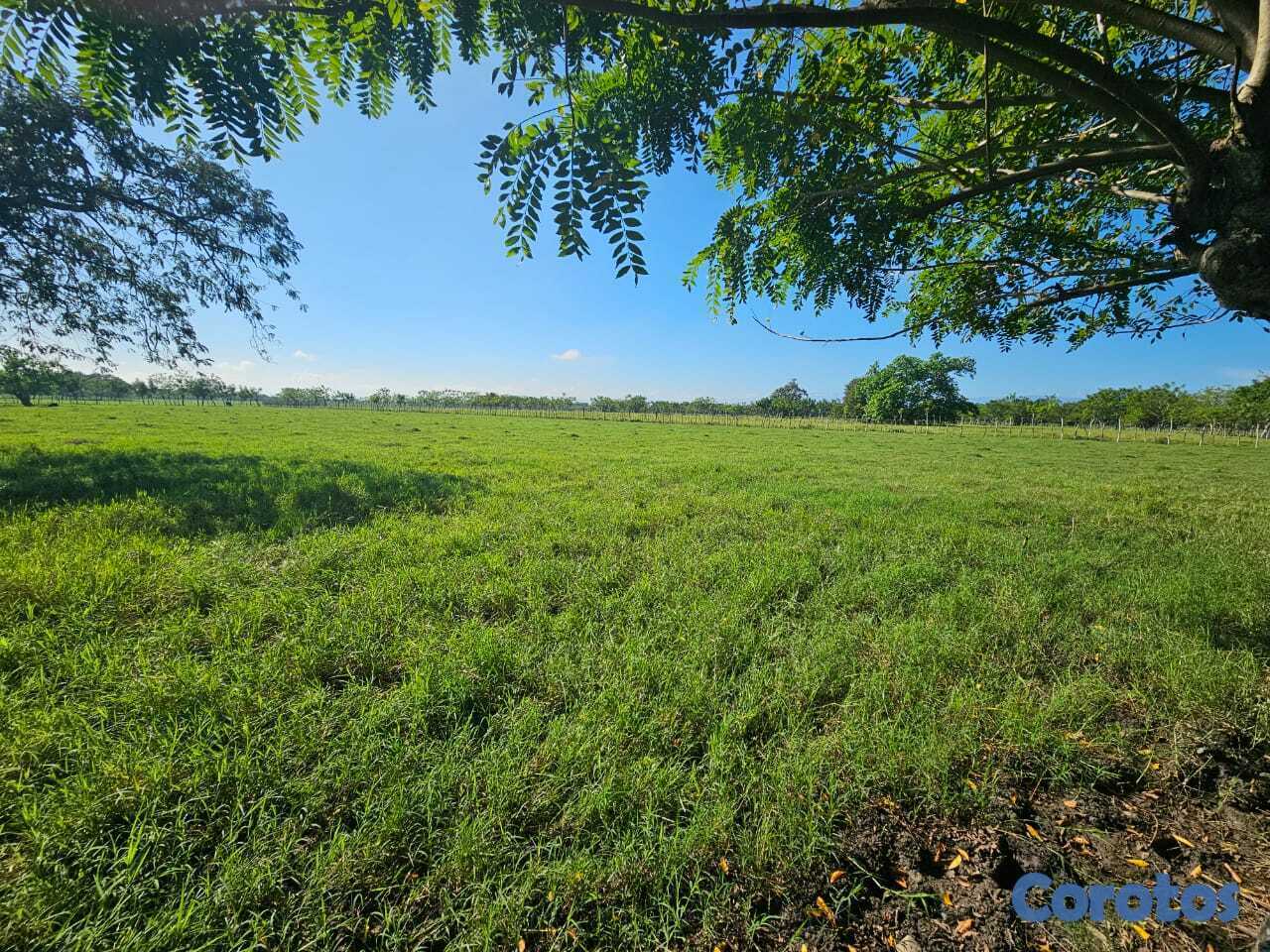 solares y terrenos - Finca en venta en San Francisco de Macorís Macoris 1