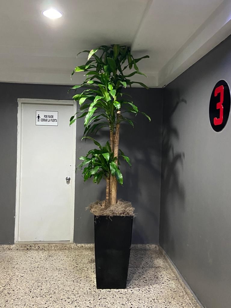 oficinas y locales comerciales - Locales de oficina en alquiler en El vergel  8