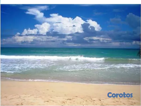 solares y terrenos - Gran Solar de Playa Uvero Alto con documentos  2