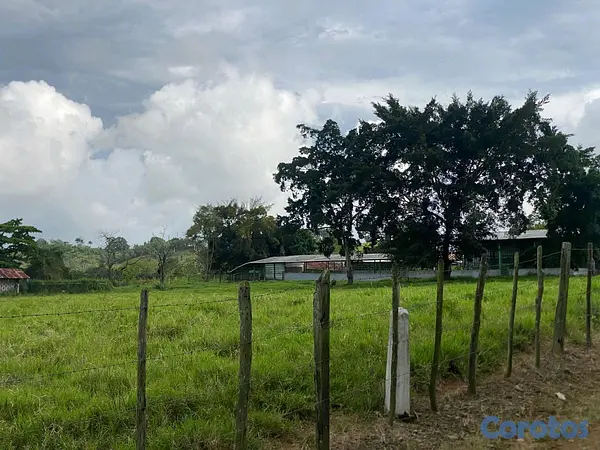 solares y terrenos - finca de 3600 tareas llanas de ganadería en cotui  7