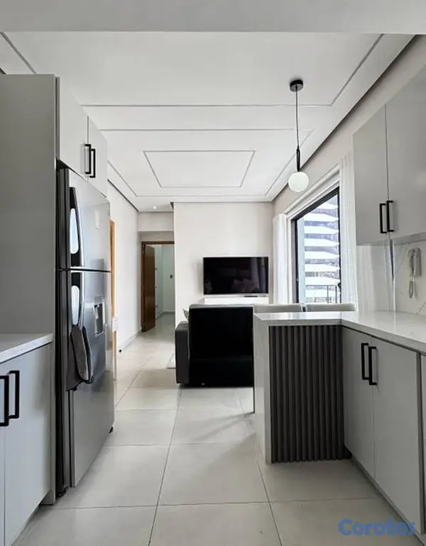 apartamentos - 1 Habitación Amueblado En Piantini 10