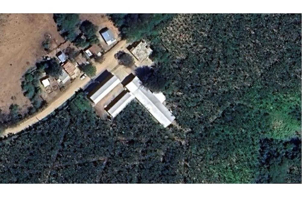 otros inmuebles - Finca Bananera en Venta en Amina – Producción Certificada para Exportación 1