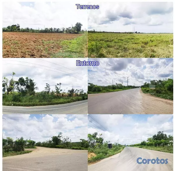 solares y terrenos - En Venta Gran Solar en Carretera mella km42 Guaycanes 4