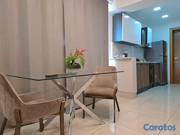 apartamentos - Alquiler de apartamento amueblado en Renacimiento 4