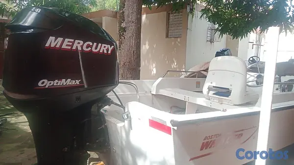 botes - Motor Mercury 115Hp Optimax 2015 2