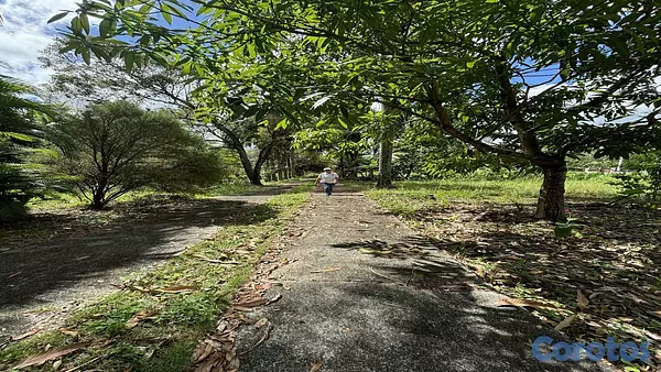 solares y terrenos - Venta Finca Km25 Autopista Duarte 8