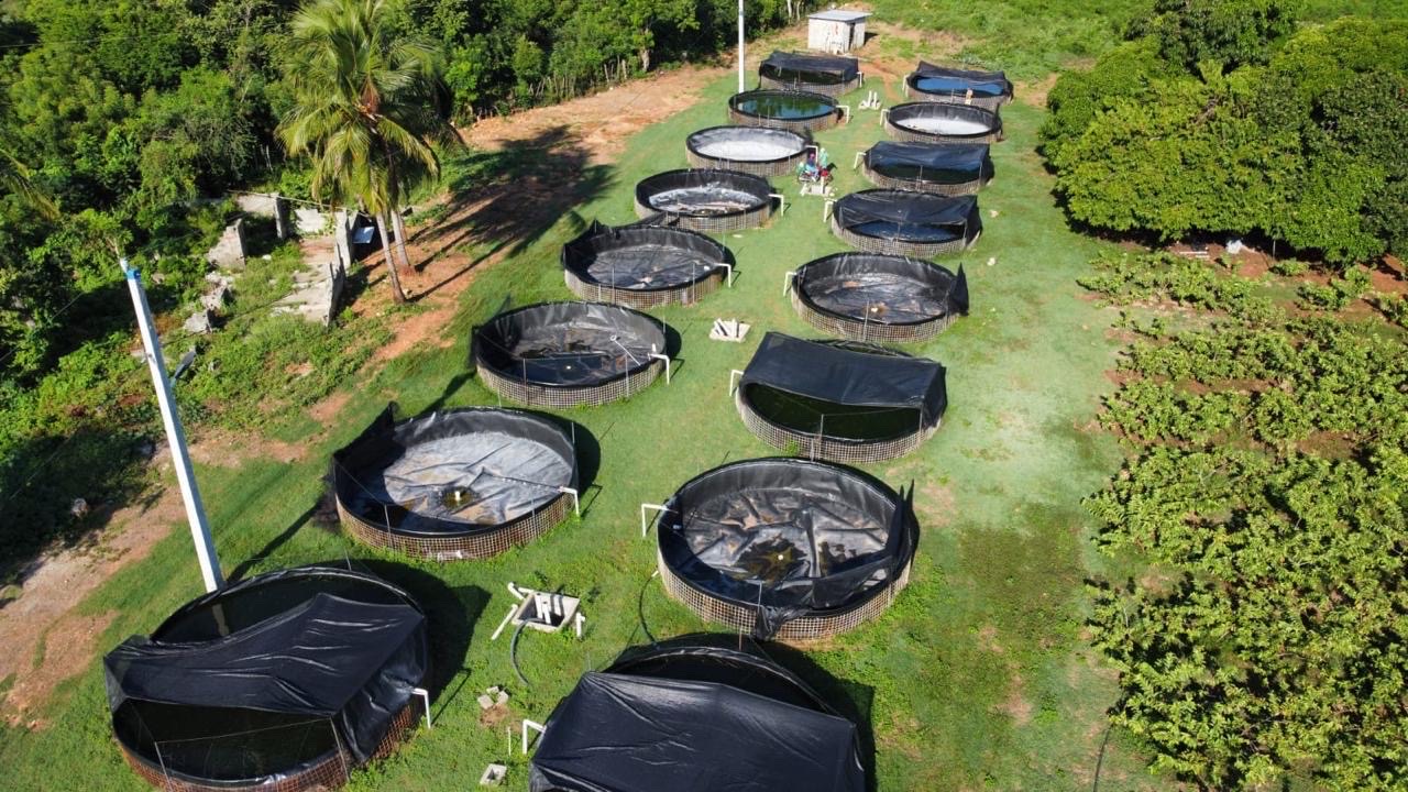 solares y terrenos - estanque de criaderos de peces  7
