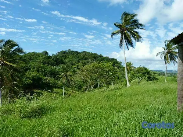 solares y terrenos - Se Vende Terreno con Playa Privada en Las Galeras, Samaná Samana 10