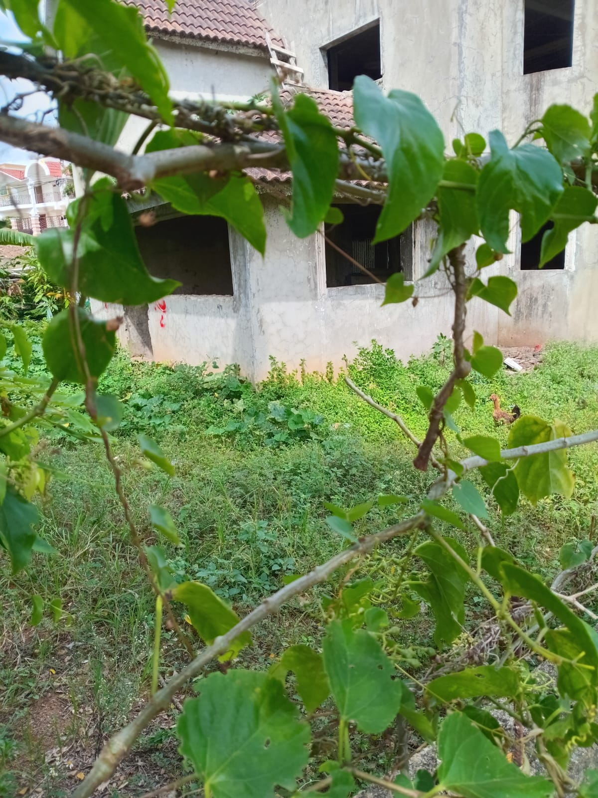 solares y terrenos - PROPIEDAD EN VENTA EN URB. THOMEN 2