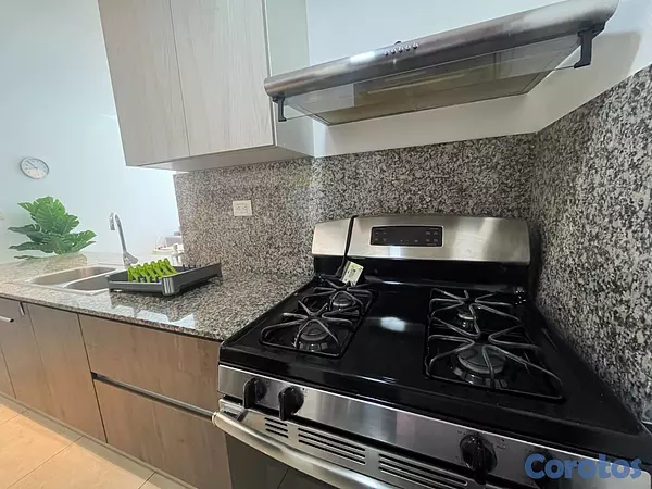 apartamentos - Apartamento en Alquiler en Naco Amueblado de UNA H 6