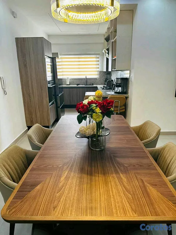 apartamentos - Alquiler de Apartamento Amueblado en Bella vista 5
