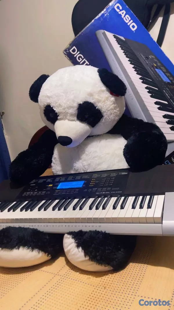 instrumentos musicales - Teclado Casio CTK-4400 2