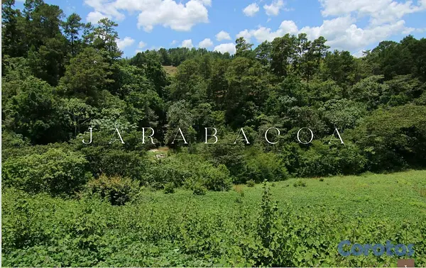 solares y terrenos - Solares en Jarabacoa Para Villas  6