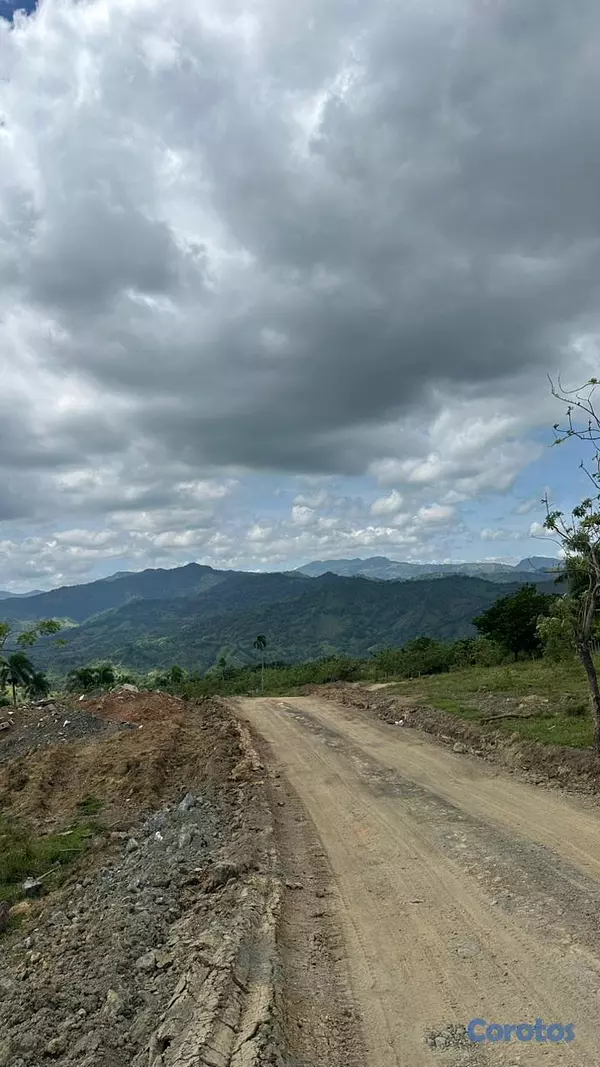 solares y terrenos - TERRENOS EN VENTA EN EL CUPEY CON VISTA A LA MONTA 1