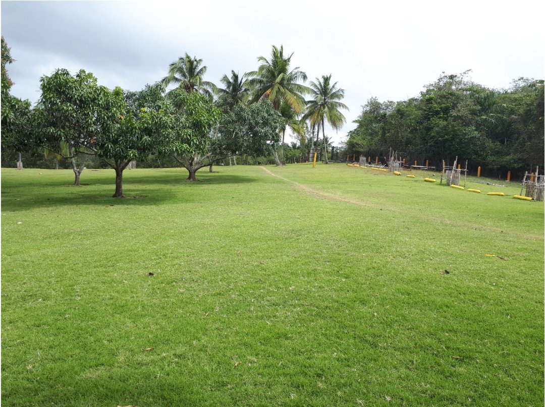 solares y terrenos - Vendo Finca en San Cristóbal 9
