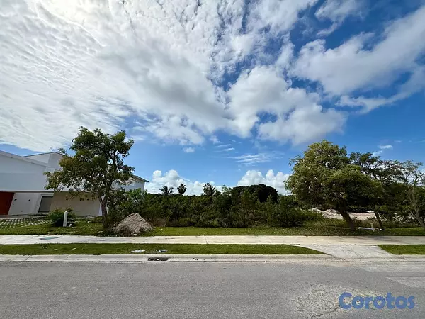 solares y terrenos - Terreno en Cap Cana con CONFOTUR 3