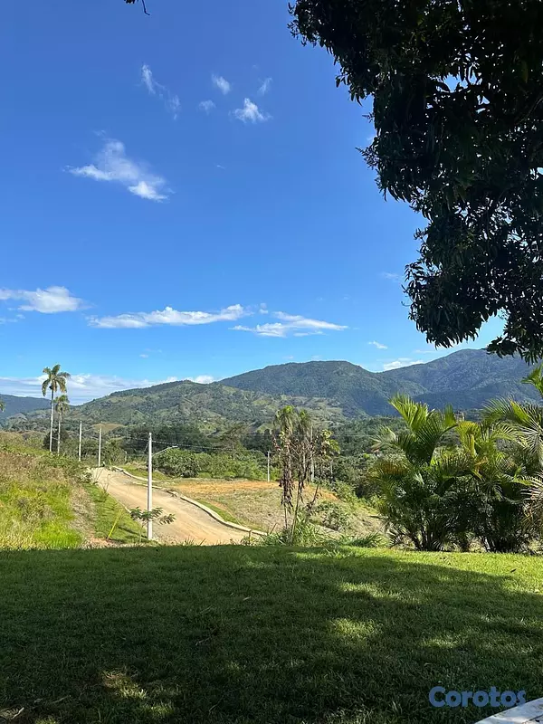 solares y terrenos - Lotes Disponibles para Villas en Buena Vista, Jara 8