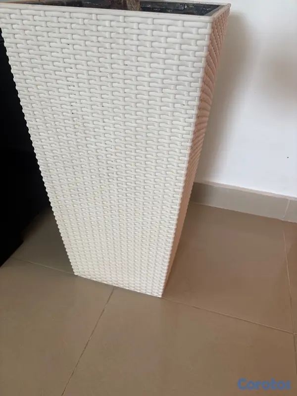 decoración y accesorios - Decoración  6
