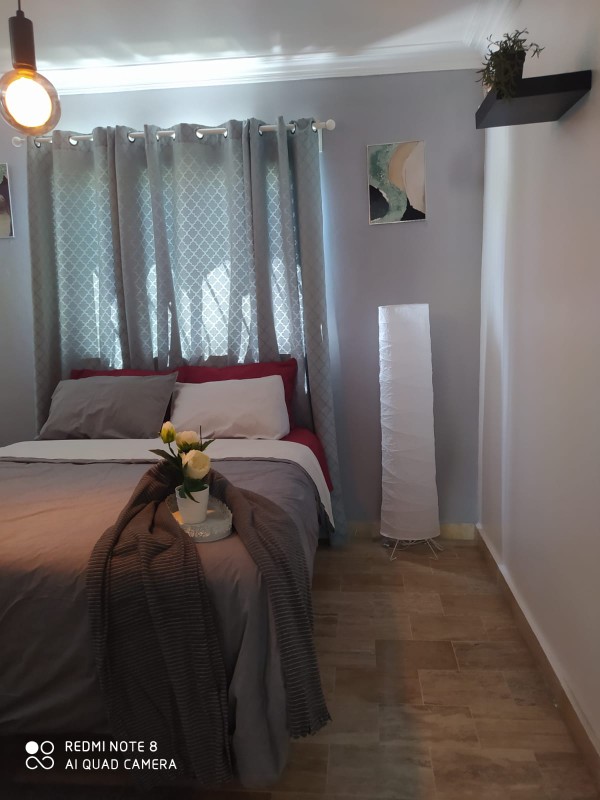 apartamentos - Rento apartamento amueblado moderno próximo galerías 360 4