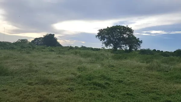 solares y terrenos - Solar / terreno de 150,000 metros en la Ecológica con Autovia de Samaná 3