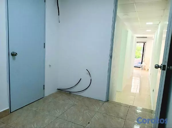oficinas y locales comerciales - LOCAL COMERCIAL  5