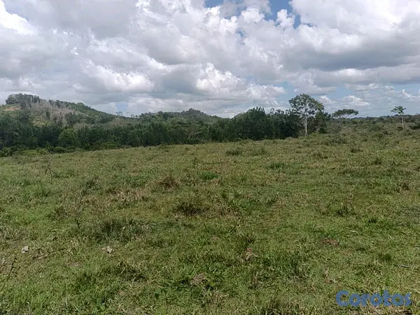 solares y terrenos - finca de 182 tareas en Monte Plata  4