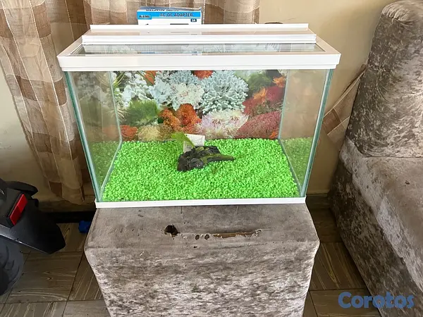 animales y mascotas - Pecera de 13 galones  2