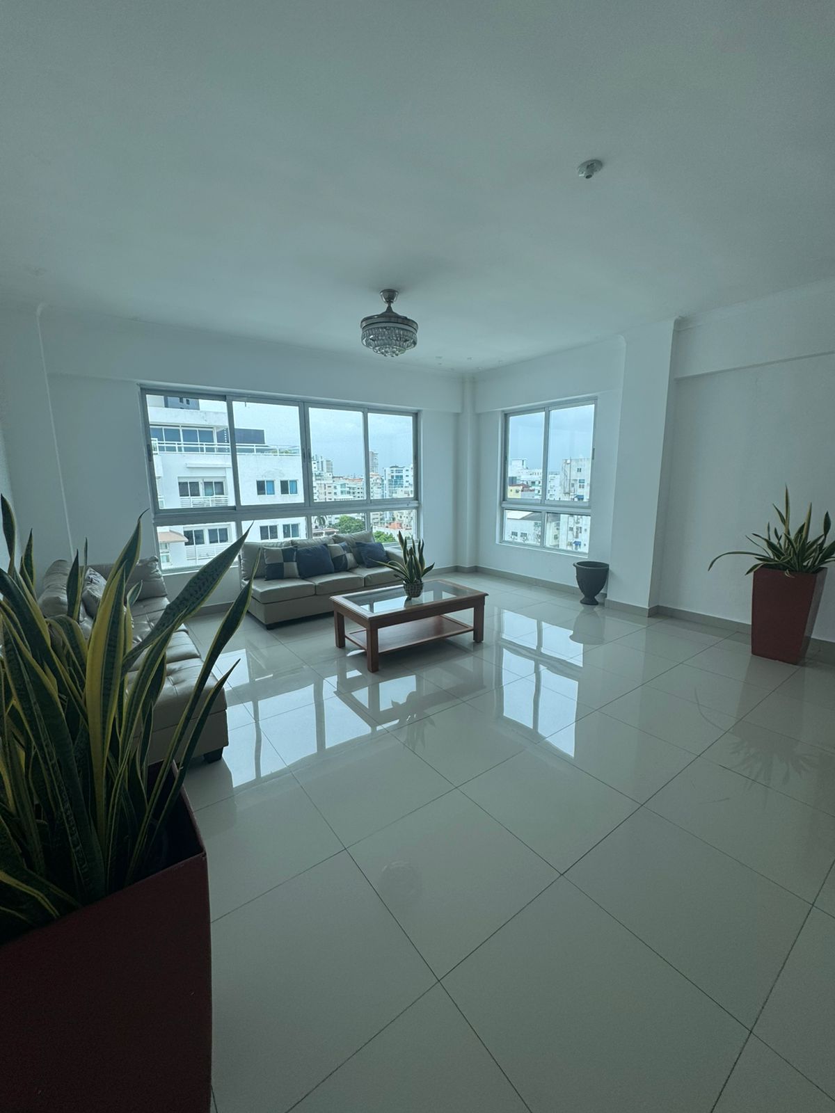 apartamentos - Vendo Apartamento Vacío de 1 Habitación en Renacimiento  Código: PD441 2
