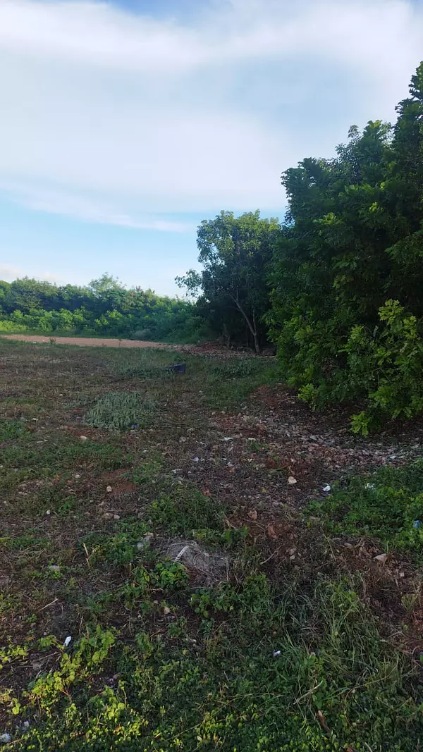 solares y terrenos - Solar comercial Avenida Ecológica  2
