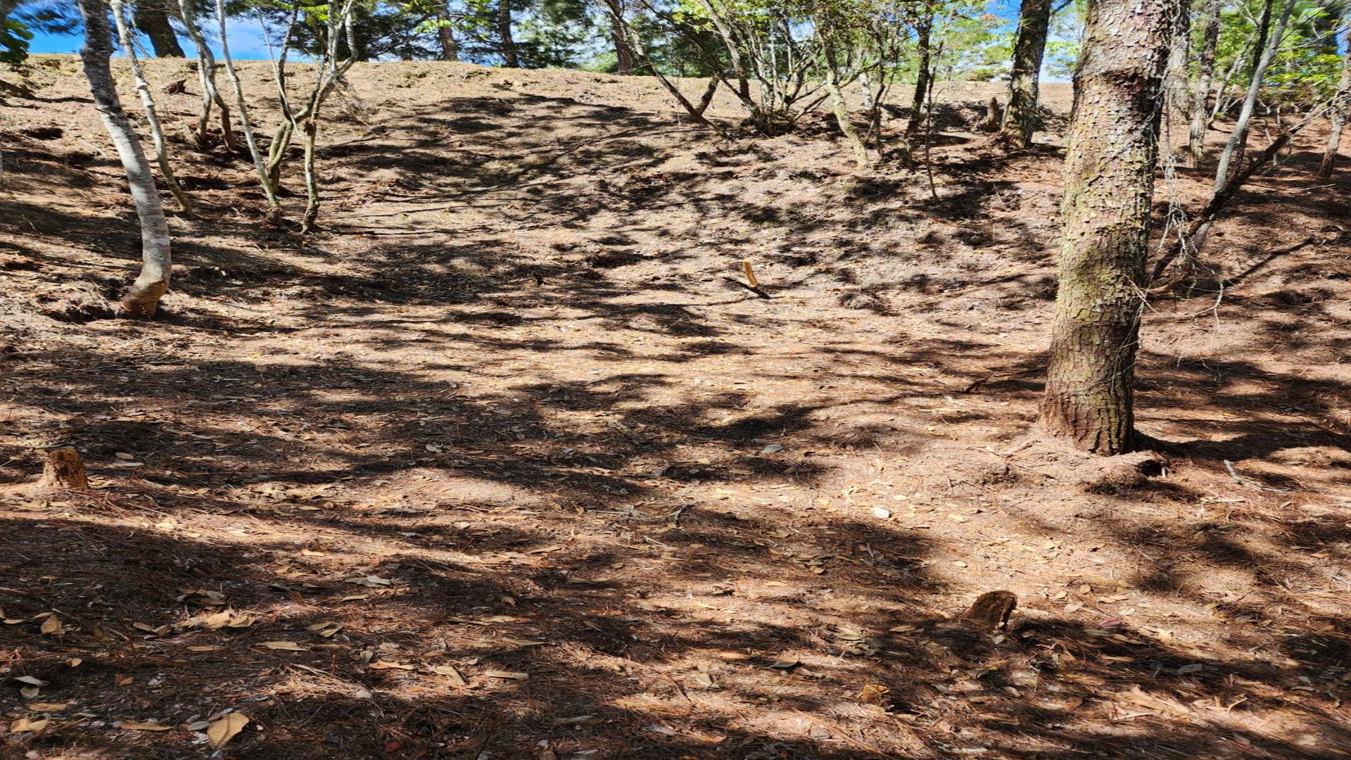 solares y terrenos - VENDO HERMOSO TERRENO, EN LA CASTILLA, ARROYO FRIO, CONSTANZA!!! 6