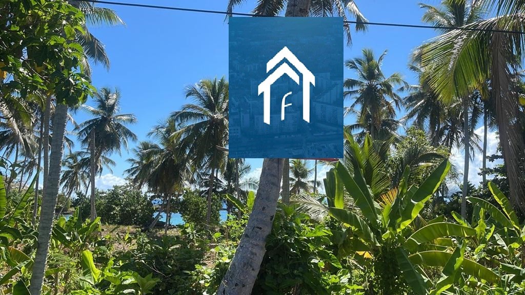 solares y terrenos - Solar en Samana de 10,447 metros Frente a la Playa el Frances, Samana 4