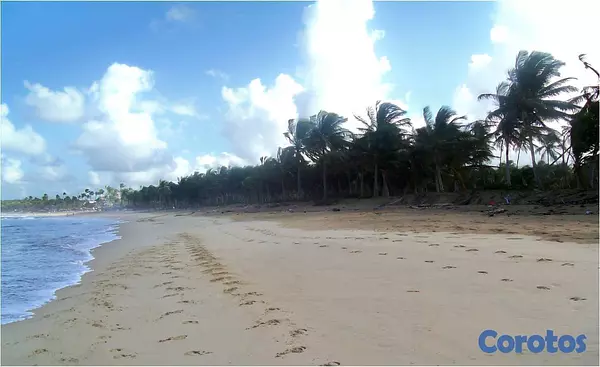 solares y terrenos - Gran Solar de Playa Uvero Alto con documentos  3