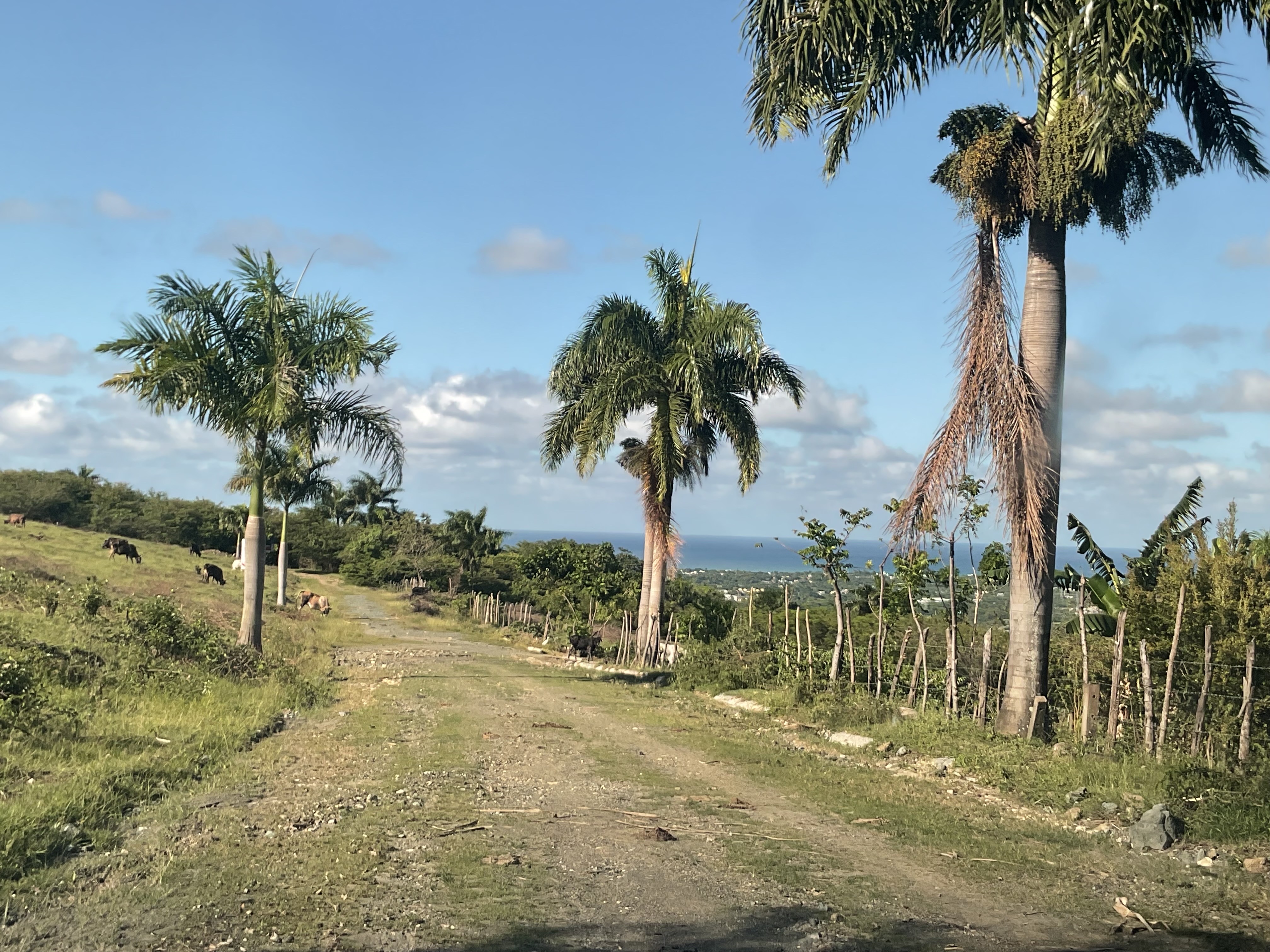 solares y terrenos - solar con vista al mar en puerto plata 