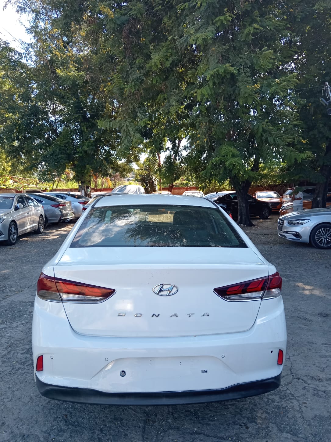 carros - HYUNDAI SONATA NEW RISE 2018 BLANCO 3